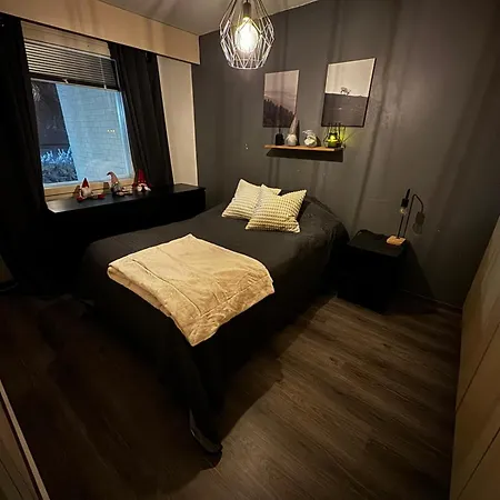 Aurora Lanttotie I Private Sauna I Free Wi-fi And Parking! דירה רובניימי