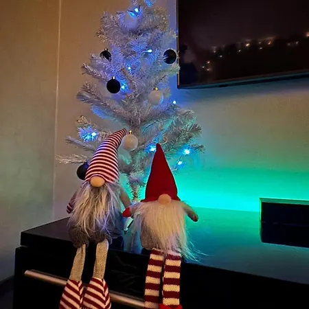 Aurora Lanttotie I Private Sauna I Free Wi-fi And Parking! רובניימי