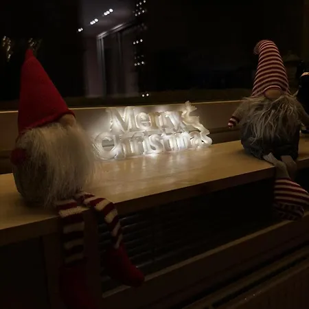 Aurora Lanttotie I Private Sauna I Free Wi-fi And Parking! ロヴァニエミ