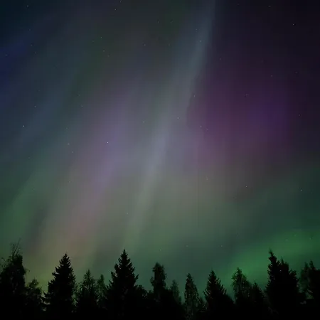 アパート Aurora Lanttotie I Private Sauna I Free Wi-fi And Parking! ロヴァニエミ