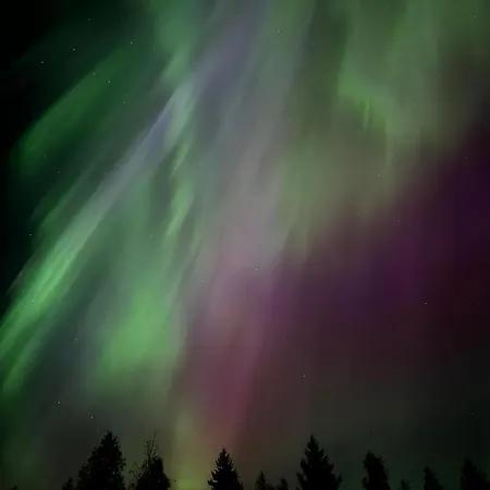 דירה Aurora Lanttotie I Private Sauna I Free Wi-fi And Parking! *